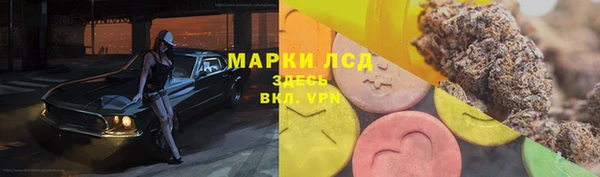 MESCALINE Бородино