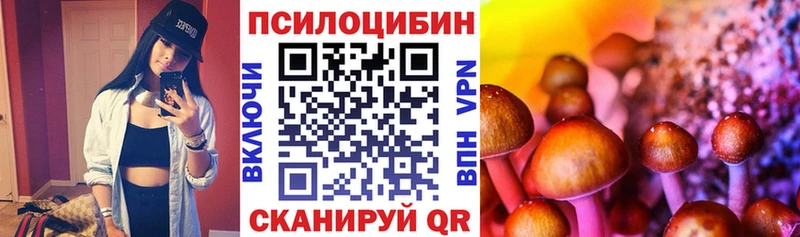 Псилоцибиновые грибы Psilocybe  купить наркотик  Дагестанские Огни 